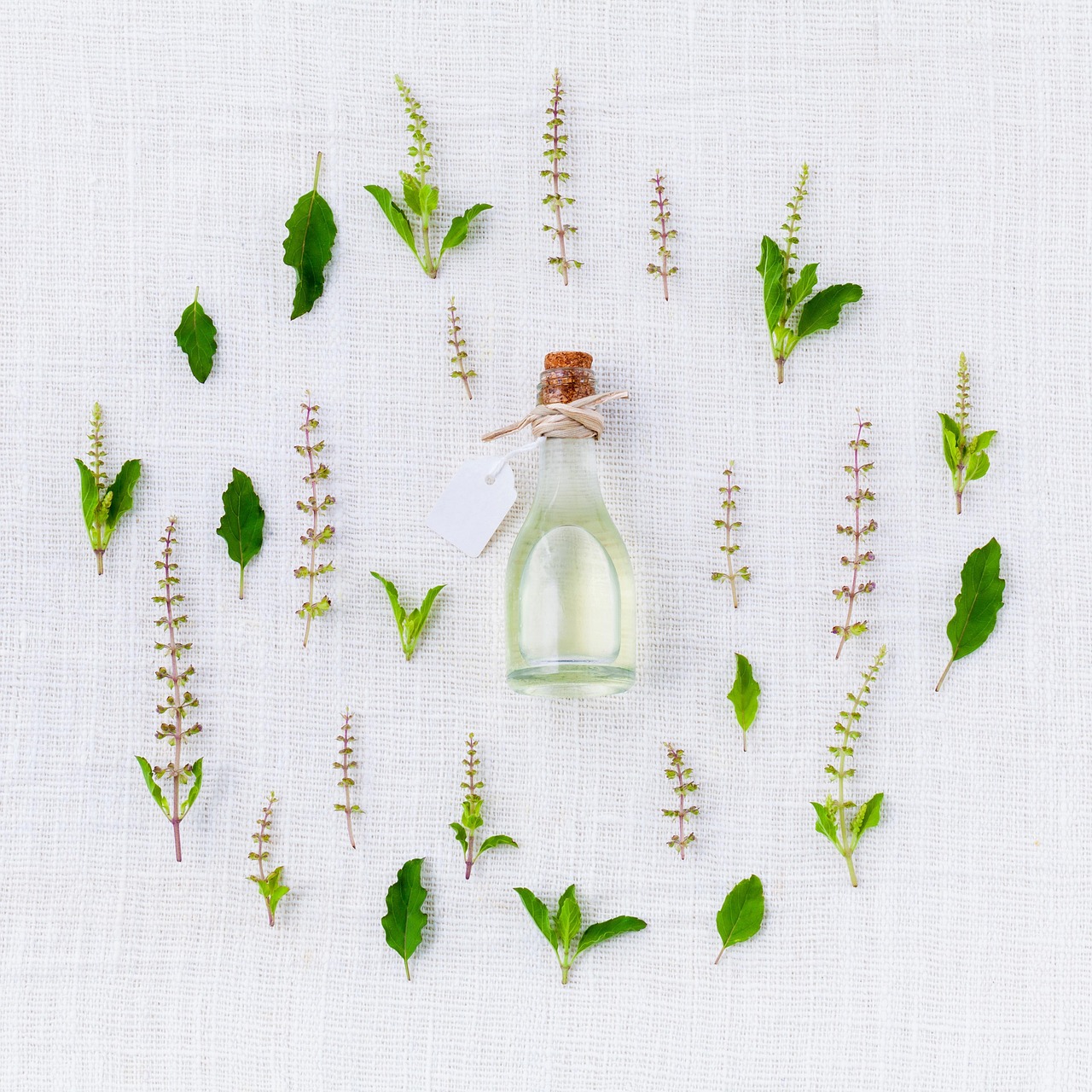 Eugenol Oil Uses: 15 Ways Formulators Put the Spice Isolate to Work